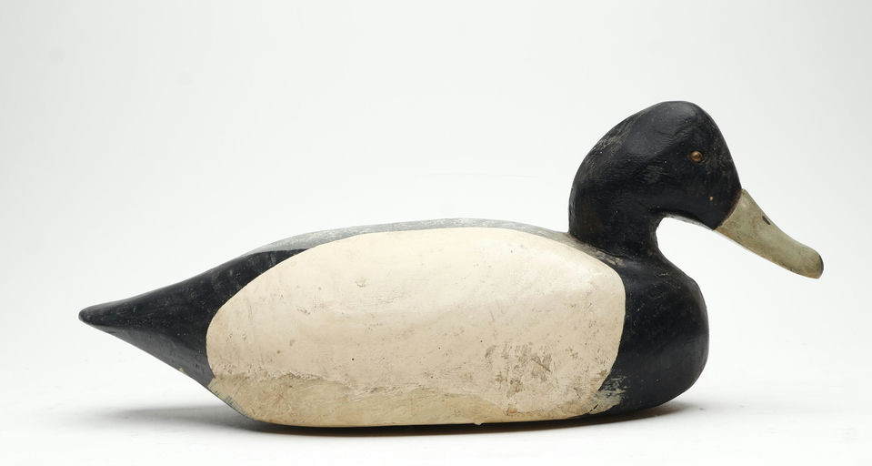 Miles Hancock – Scaup – 2026