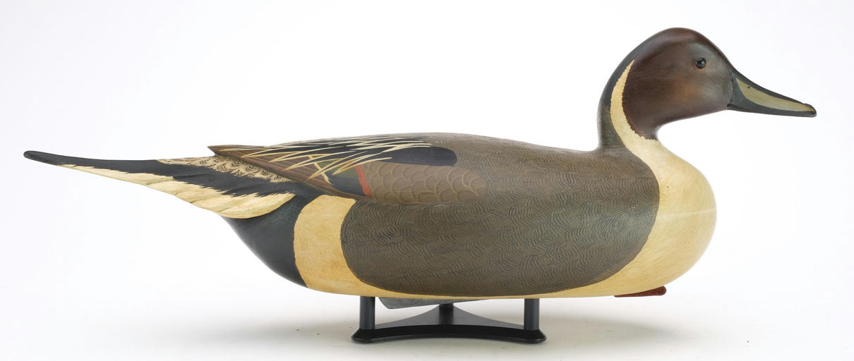 Bob White – Pintail – 2024
