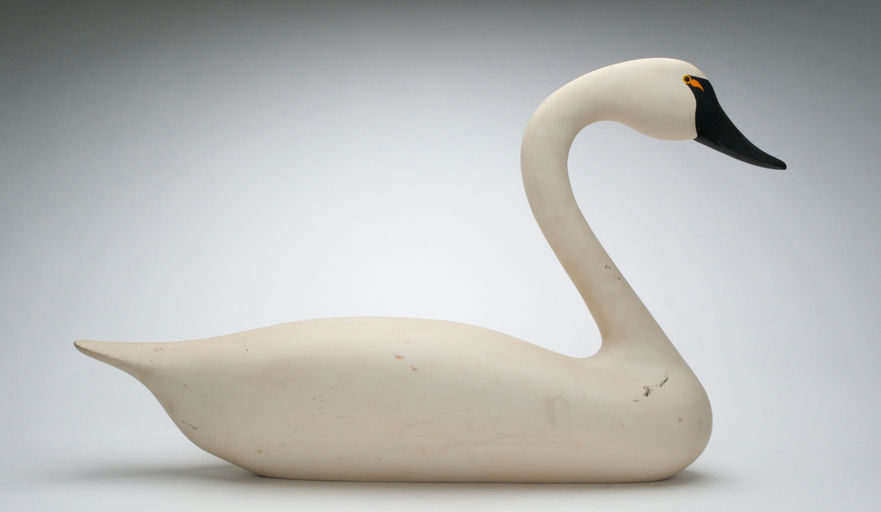 R. Madison Mitchell – Tundra Swan – 2026