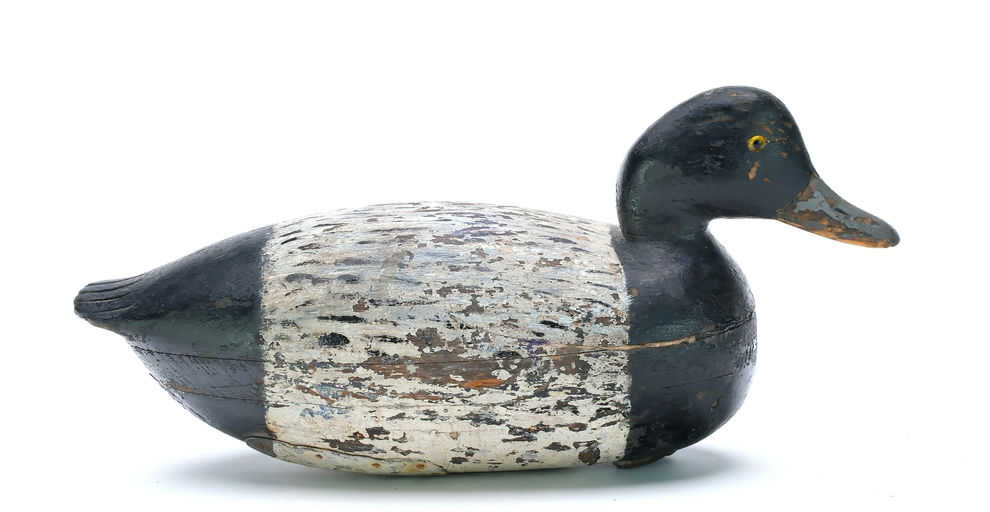 Jess Heisler – Scaup – 2025