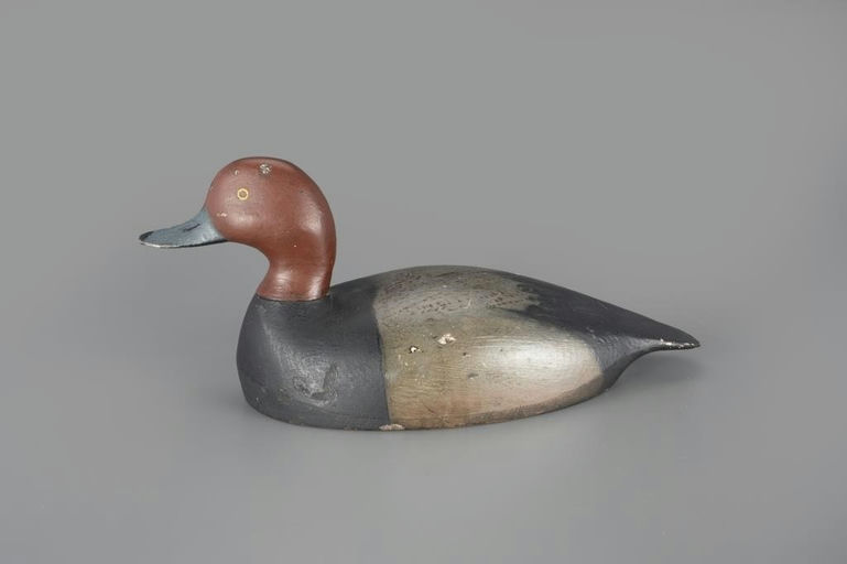 Walker T. Morley – Rare Redhead Drake – 2024