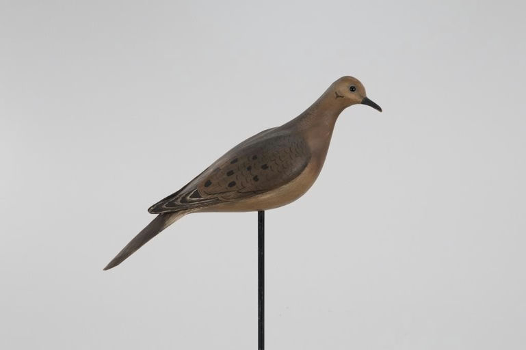 Bill Gibian – Dove – 2026