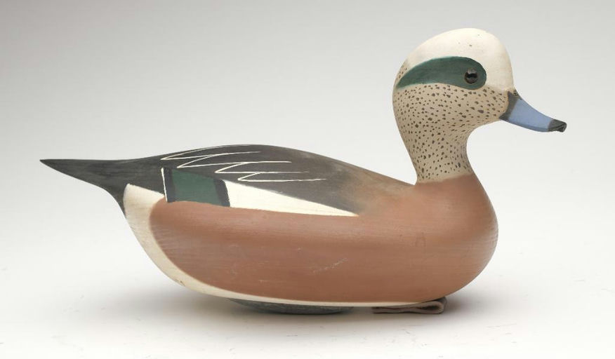 Pete Peterson – Wigeon – 2023