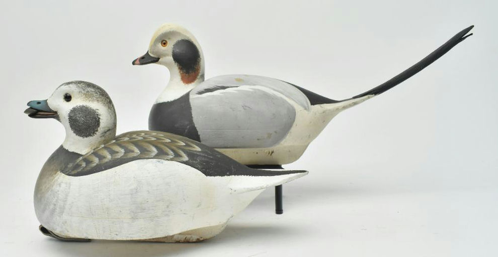 Keith Mueller – Pair of Long Tail Duck – 2023