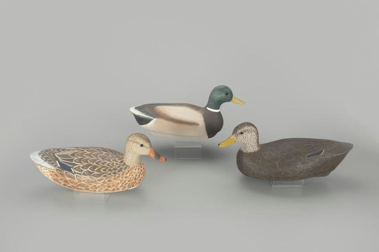 Cigar Daisey – Three Duck Decoys – 2023