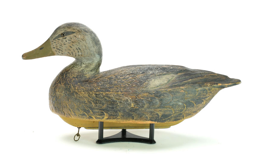 Ben Schmidt – Black Duck – 2025