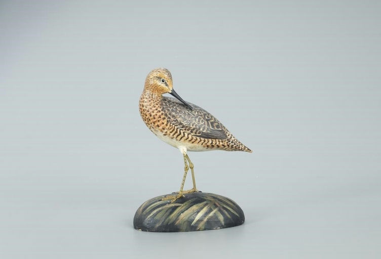 Elmer Crowell – The Payson Crowell Preening Dowitcher – 2022