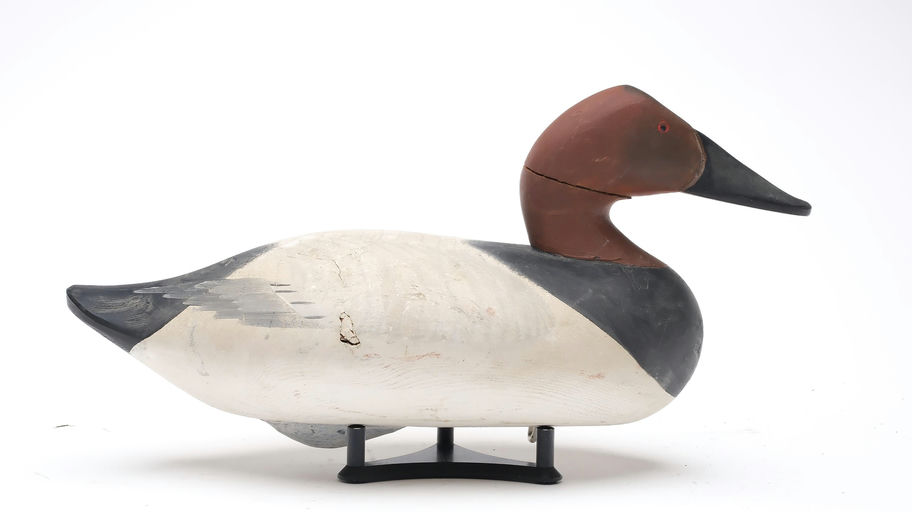 R. Madison Mitchell – Canvasback – 2025