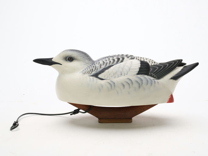 Keith Mueller – Seabird – 2024