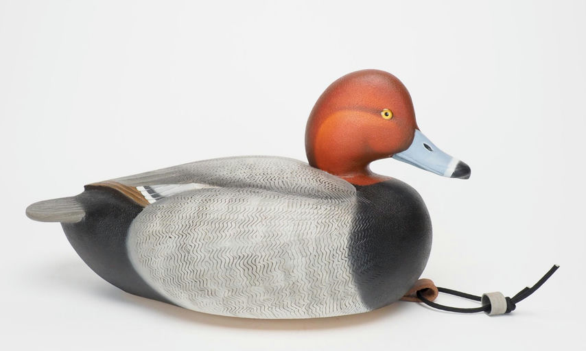 Ben A. Heinemann – Redhead Drake – 2025