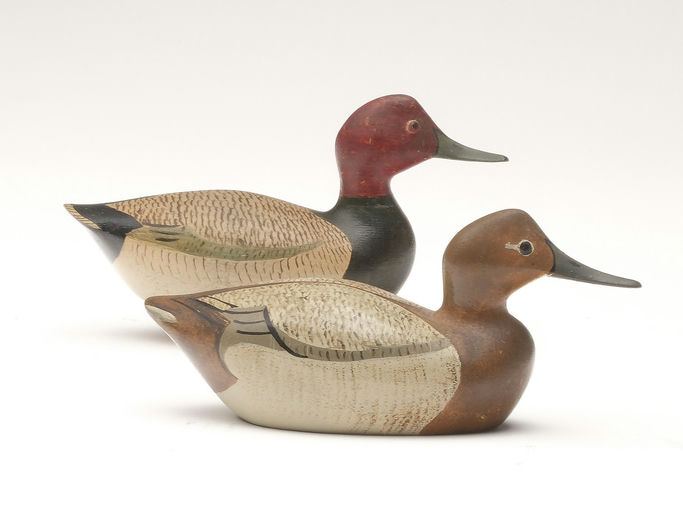 George Boyd – Canvasback – 2023