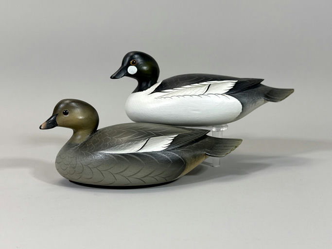 George Strunk – Goldeneye – 2026