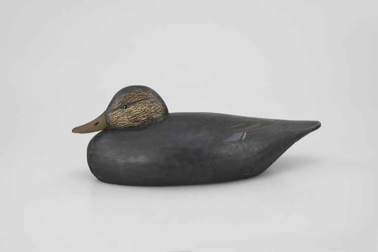 Elmer Crowell – Tucked-Head Black Duck – 2026