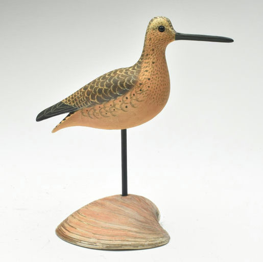 Cigar Daisey – Dowitcher – 2023