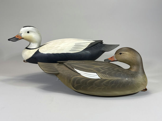 George Strunk – Labrador Duck – 2026