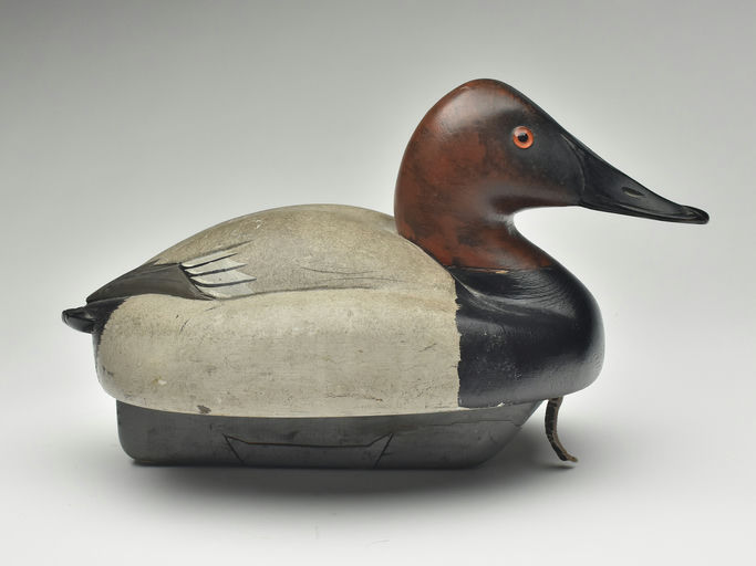 Ferdinand Bach – Canvasback Drake – 2023