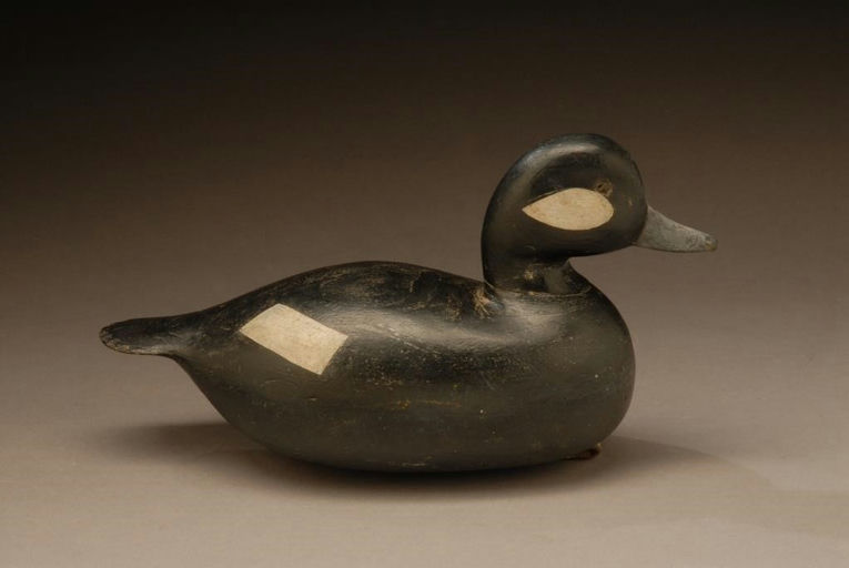 Edson G. Gray – Bufflehead Hen – 2008
