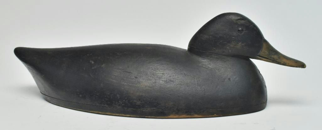 Thomas Chambers – Black Duck – 2023