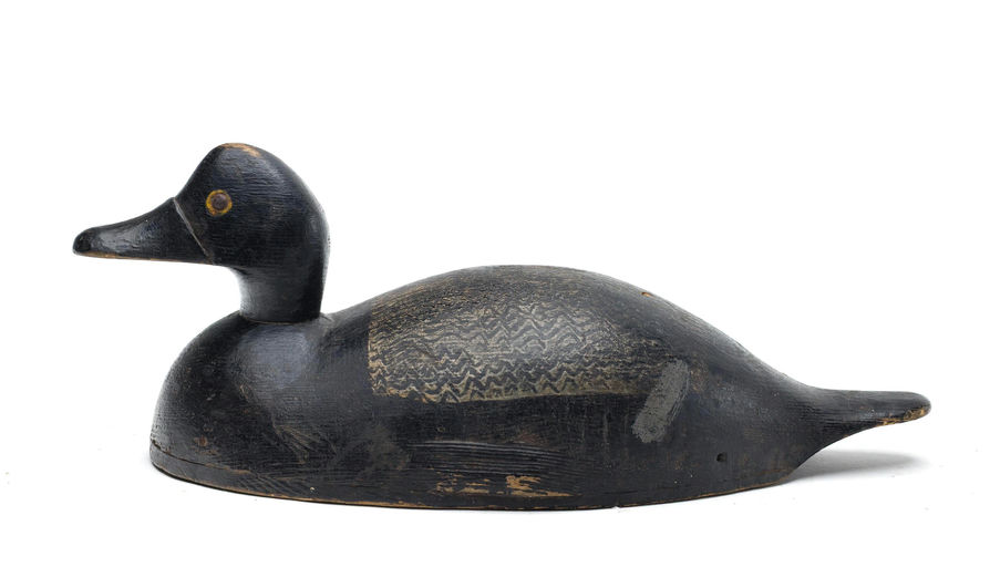 Norman MacDonald – Scaup – 2026