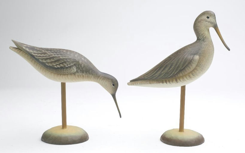 Sean Sutton – Two Shorebirds – 2023