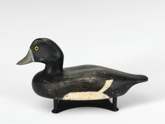 Nichol Family — Bluebill Hen
