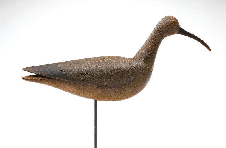 Mark McNair – Curlew – 2026