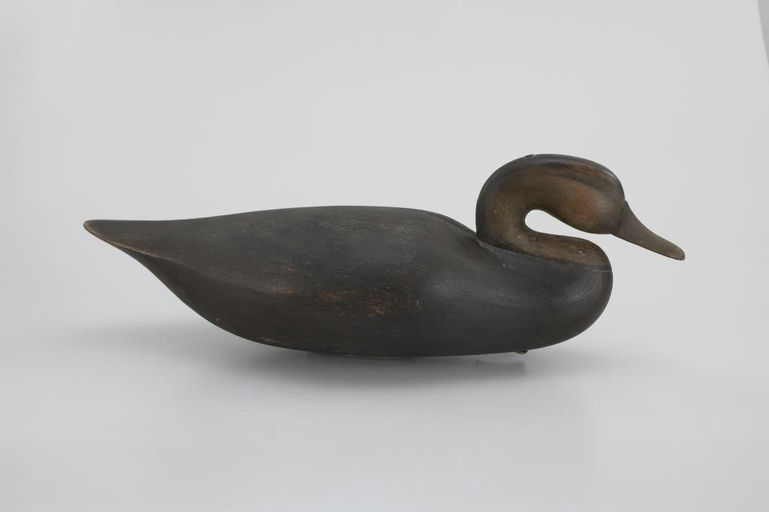Mark McNair – Parker's Island Black Duck – 2026