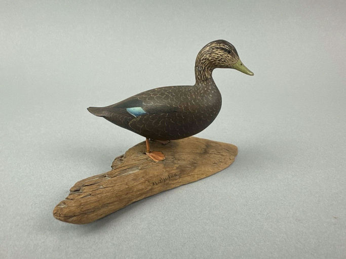 Robert Morse – Black Duck Miniature – 2026