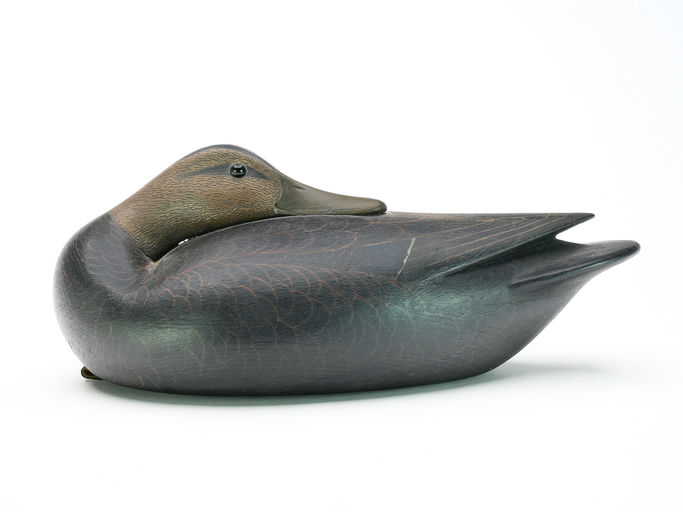 Mark McNair – Hollow Carved Sleeping Black Duck – 2025
