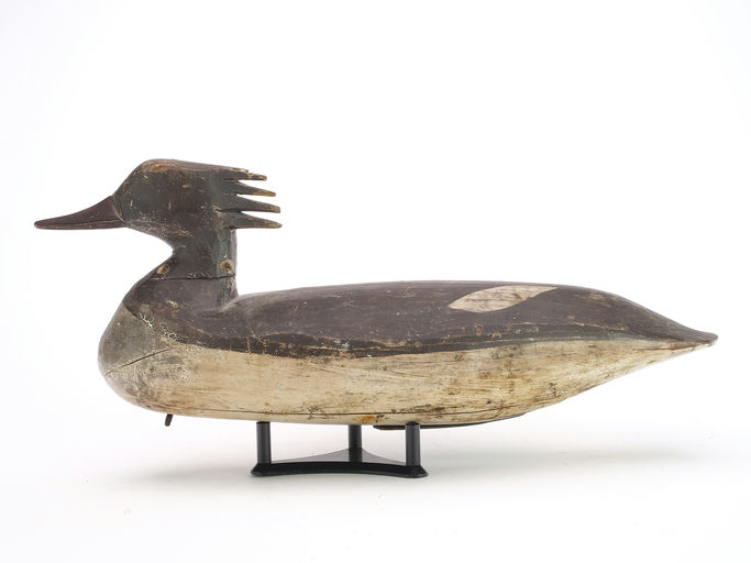 Doug Jester – Merganser – 2024