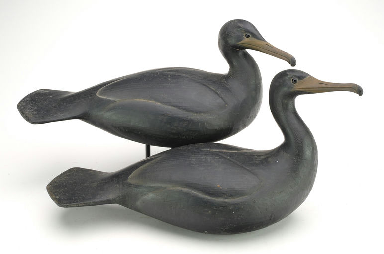 Reggie Birch – Cormorant – 2024