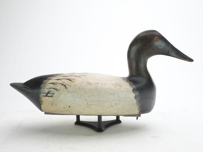 Bert Graves – Canvasback – 2023