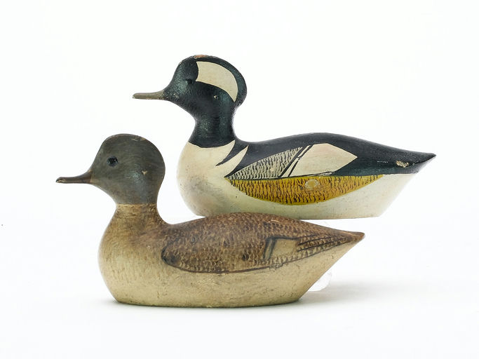 George Boyd – Hooded Merganser – 2025