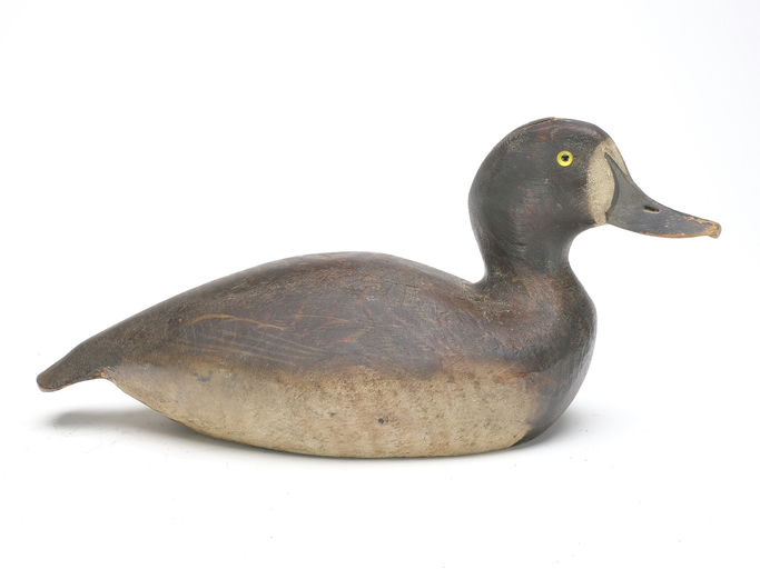 Ward Brothers – Bluebill – 2023