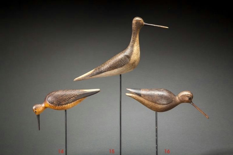 Mark McNair – Greater Yellowlegs – 2014