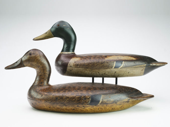 Bert Graves – Mallard – 2024