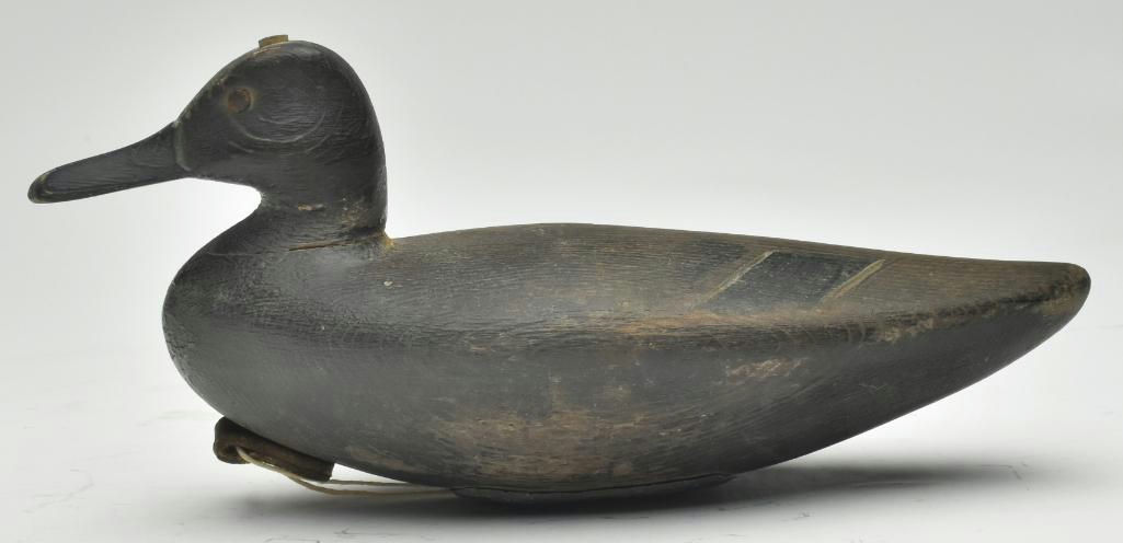 George Strunk – Blue Wing Teal Hen – 2022
