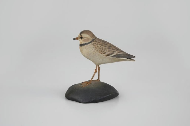 Elmer Crowell – Life-Size Piping Plover – 2026