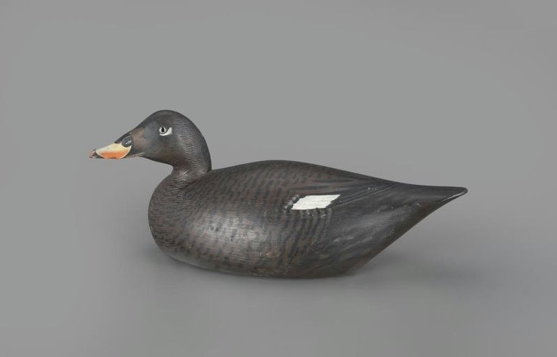 Elmer Crowell – Outstanding White-Winged Scoter – 2024