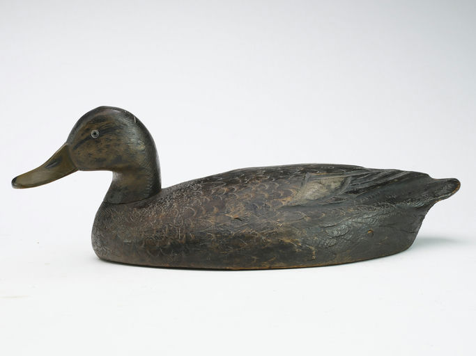 Ben Schmidt – Black Duck – 2024