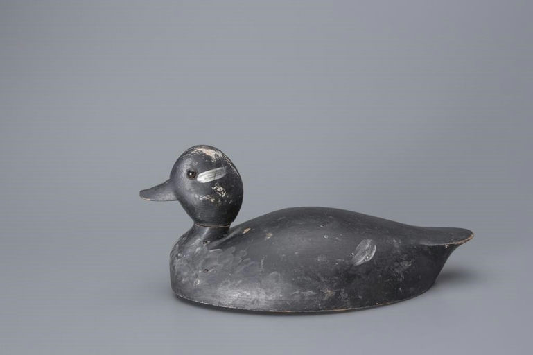 John R. Wells – Bufflehead Hen – 2017