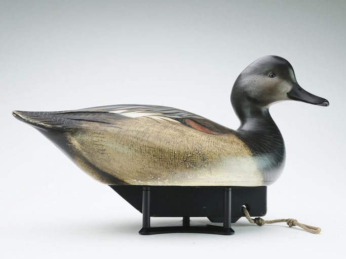 Jim Schmiedlin – Gadwall – 2024