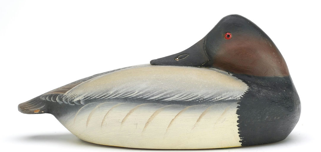 Ward Brothers – Sleeping Canvasback – 2024