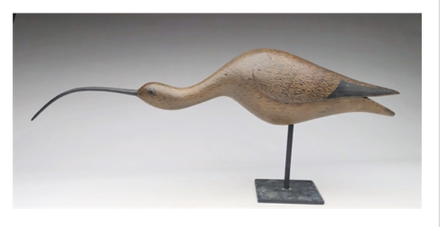 Mark McNair – Feeding Sickle Billed Curlew – 2020
