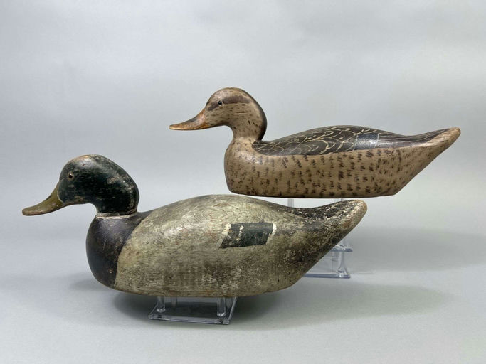 Lester Beattie – Mallard Duck – 2026
