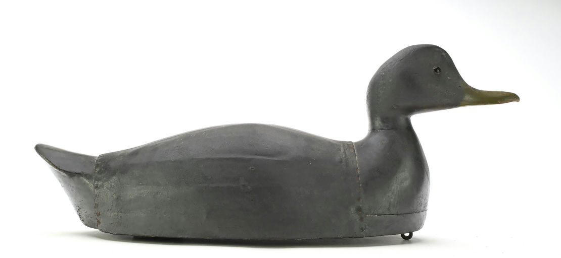 George Boyd – Black Duck – 2025