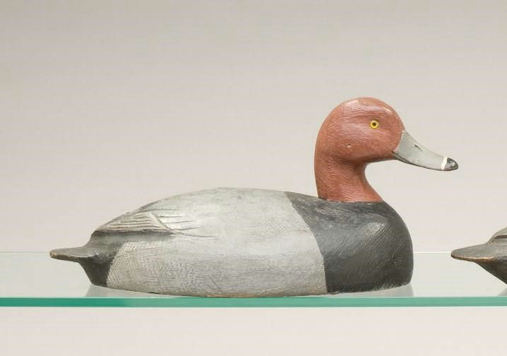 Ben Schmidt – Redhead Drake – 2010