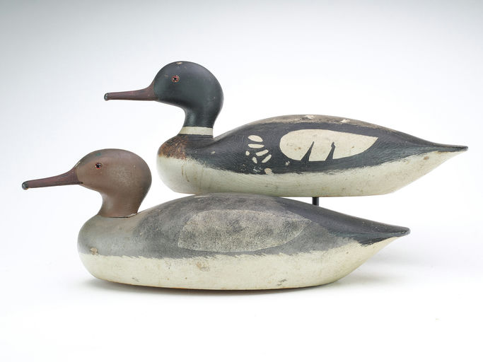 Keyes Chadwick – Merganser – 2025