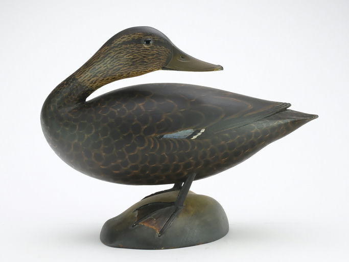 Elmer Crowell – Black Duck – 2024