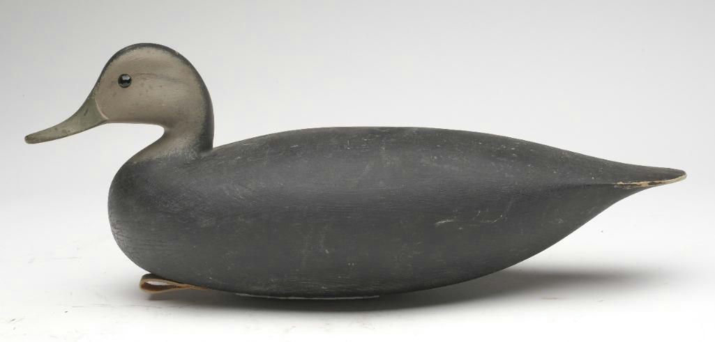 Jamie Hand – Black Duck – 2023